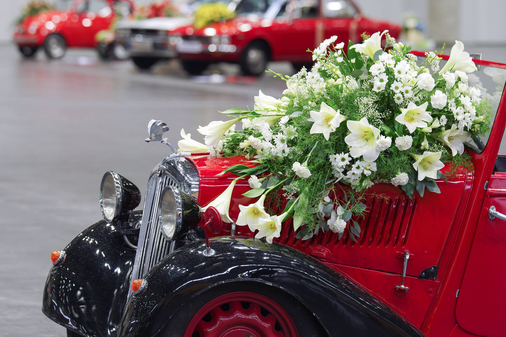 Reportage Fotografie Blumen Corso 5